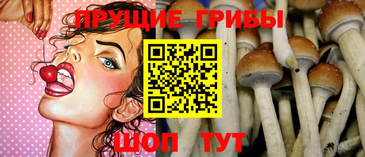 Галлюциногенные грибы ЛСД  Вход с VPN  Тамбов  Галлюциногенные грибы Magic Shrooms 